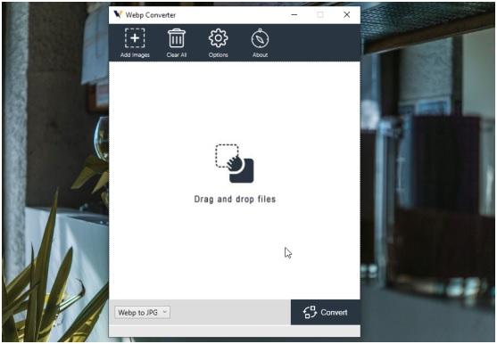 Batch Convert Image from Webp to JPG on Your Computer Batch Convert Image from Webp to JPG on Your Computer